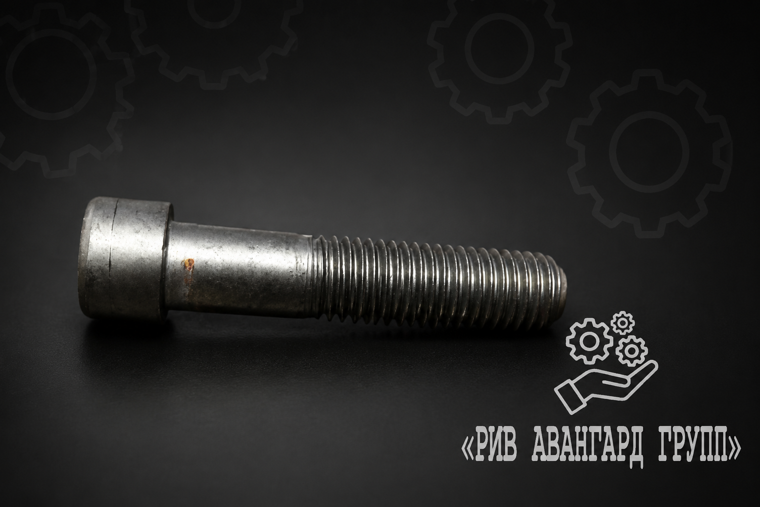 Болт, SCHWING, 10001200