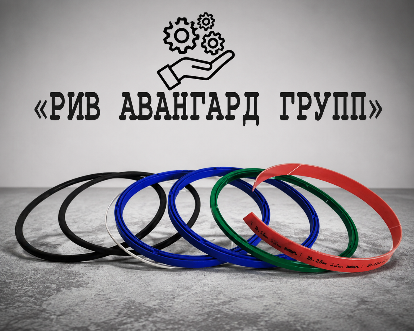 Набор уплотнений заднего подшипника S-клапана 220270