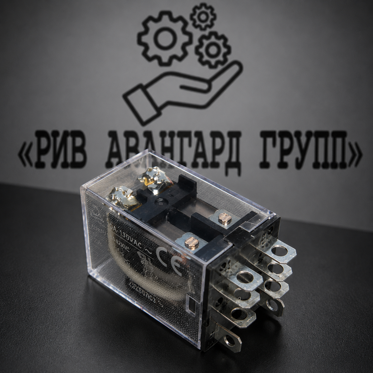 Реле 24V; 10A; 2Wechs, PUTZMEISTER, 252757004