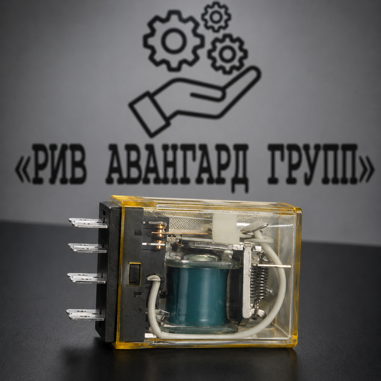 Реле 24V 2Wechs, PUTZMEISTER, 66407003