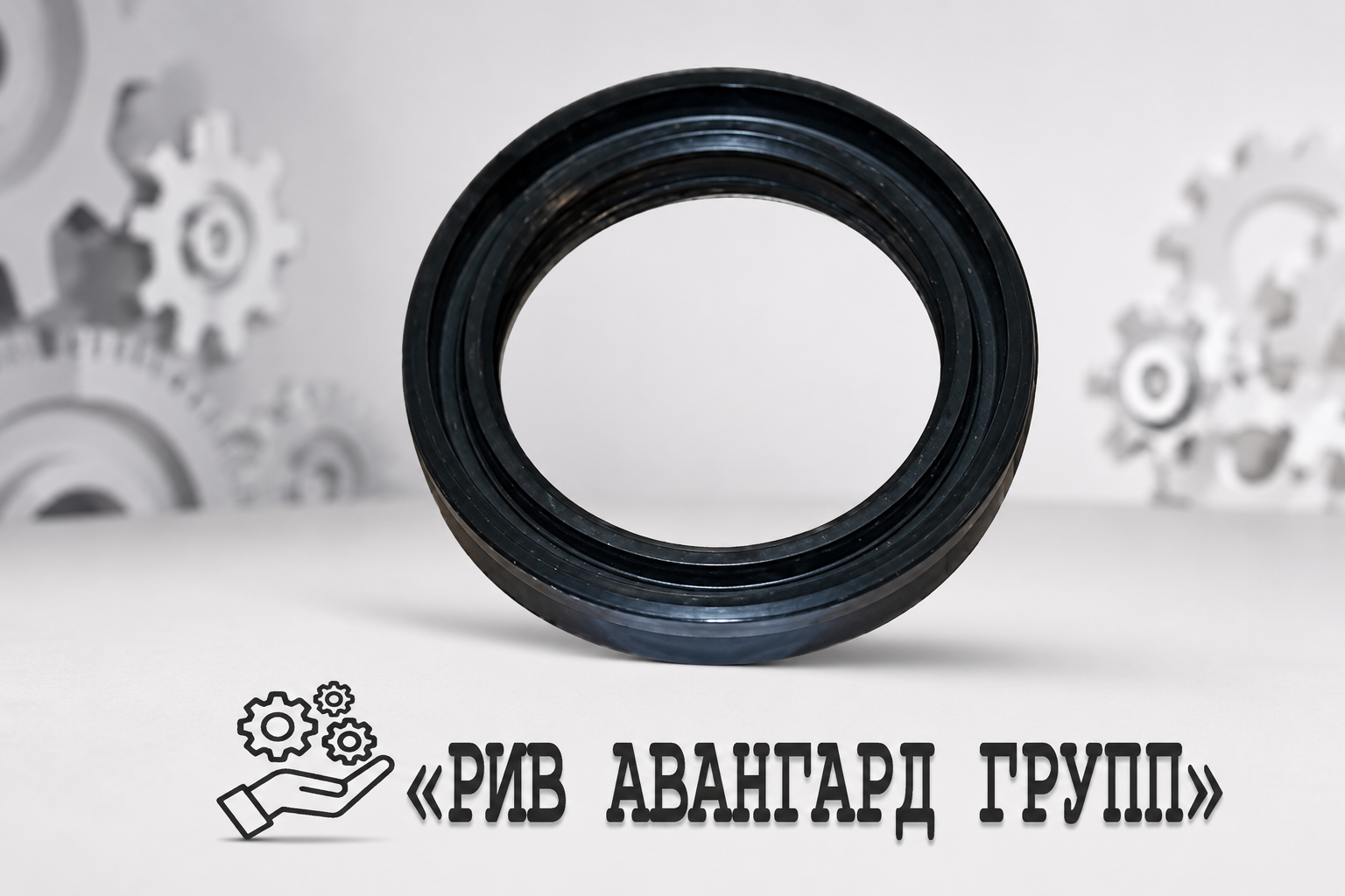 Уплотнение, SCHWING, 10016236
