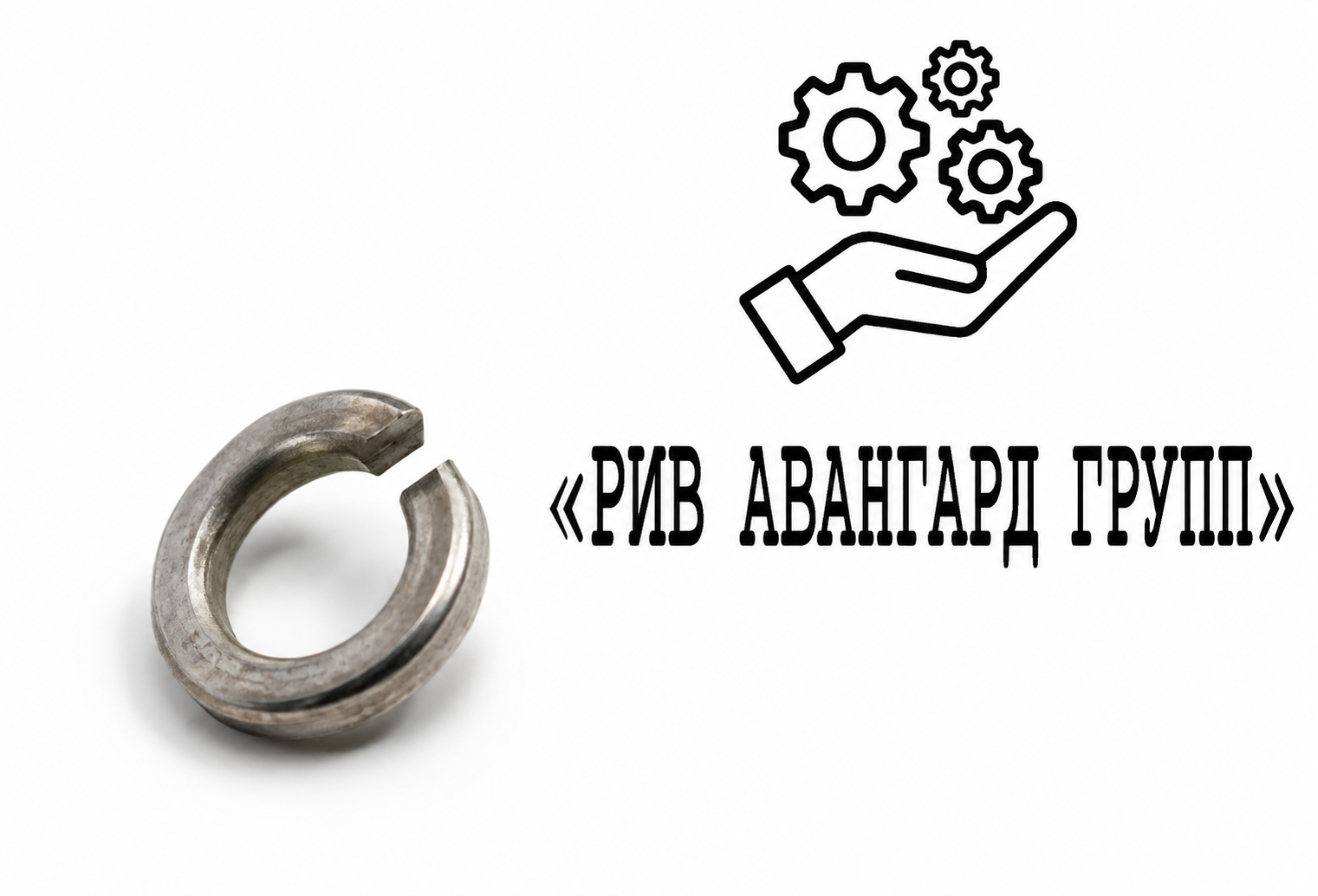 Шайба, SCHWING, 10136867