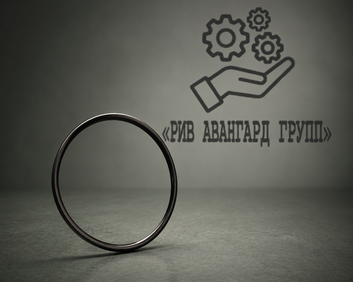Уплотнительное кольцо Schwing 10001052