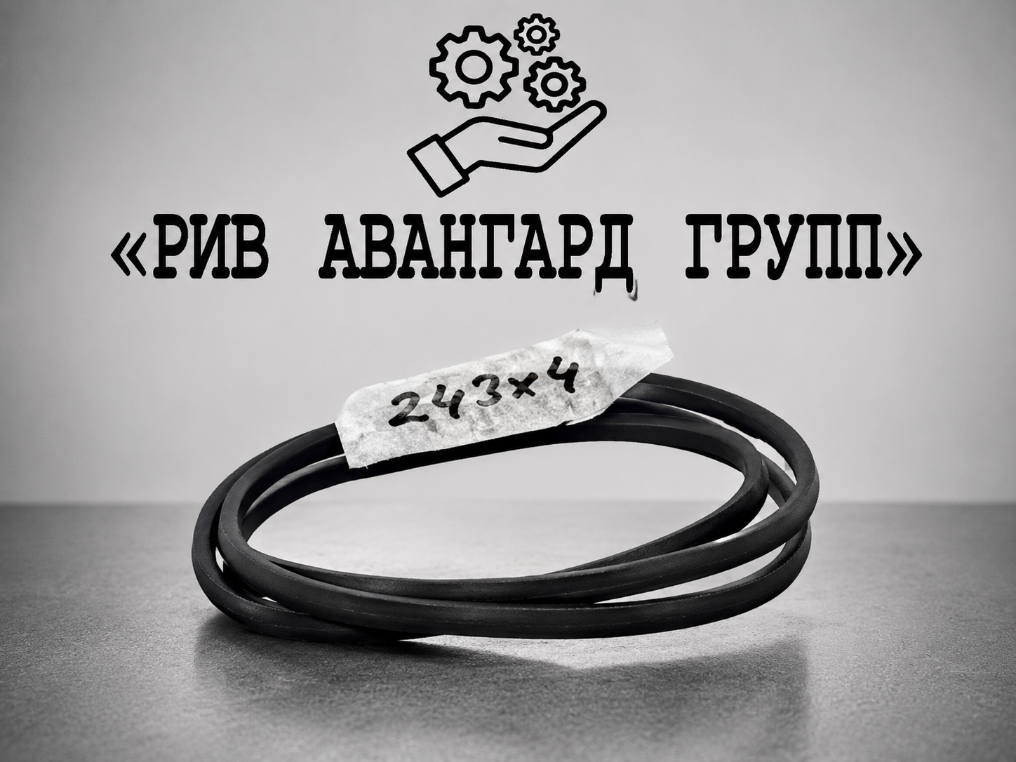 Уплотнительное кольцо, 243x4, WAITZINGER