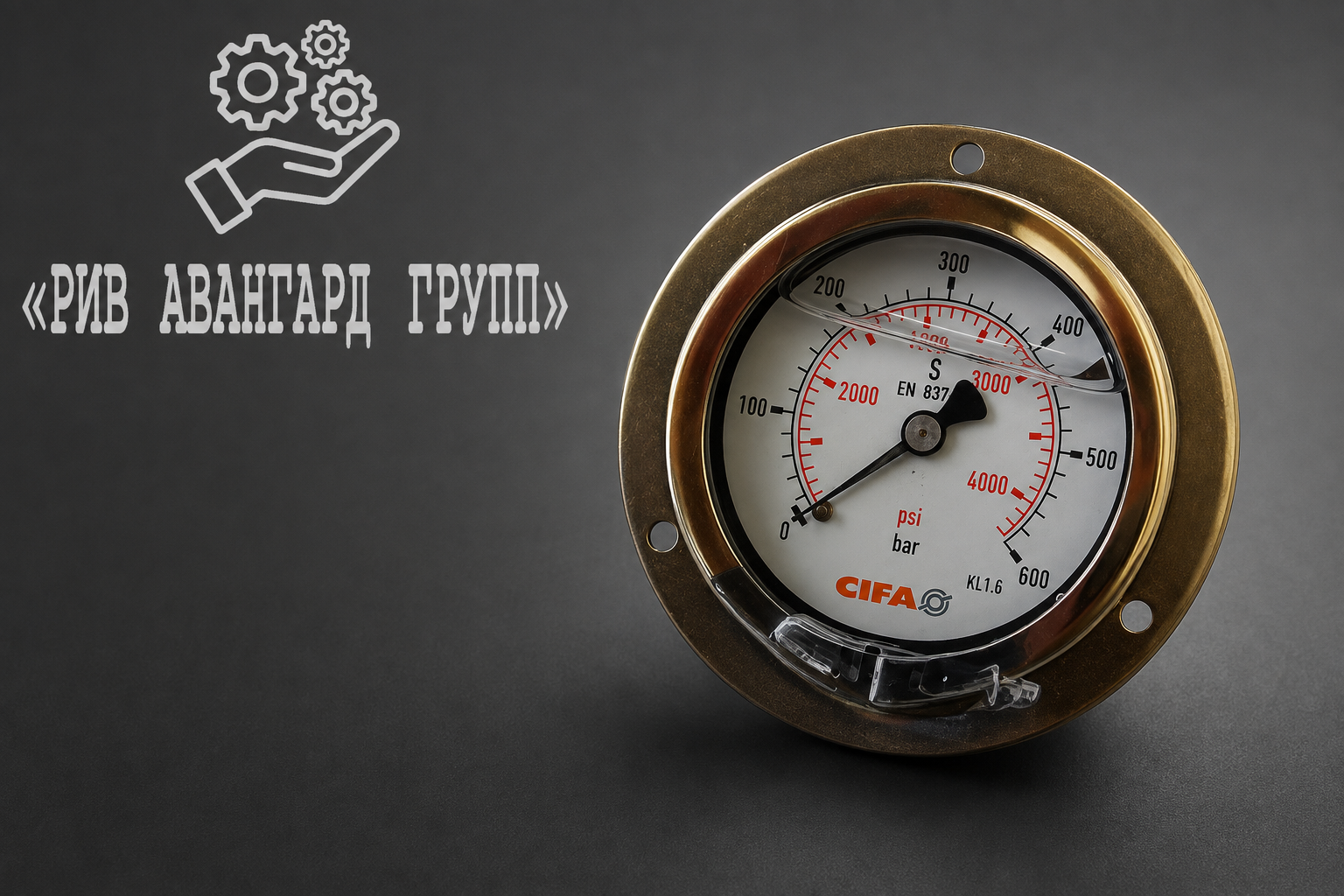 Манометр, CIFA, 908848