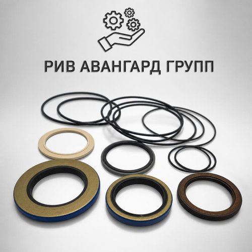 Комплект уплотнений гидромотора мешалки BRH B470, PUTZMEISTER, 484279, 502156, 55610689
