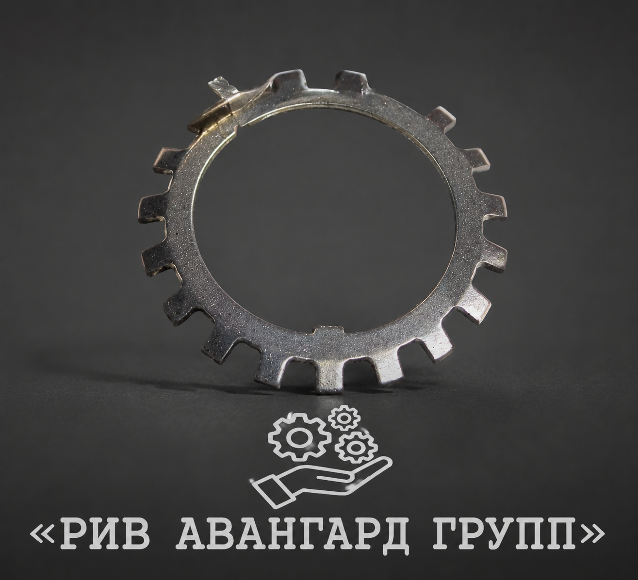 Шайба, SERMAC, 2471065